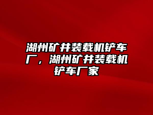 湖州礦井裝載機(jī)鏟車廠，湖州礦井裝載機(jī)鏟車廠家