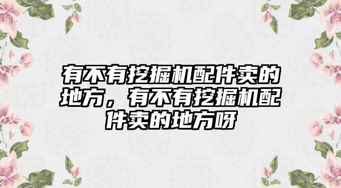 有不有挖掘機(jī)配件賣的地方，有不有挖掘機(jī)配件賣的地方呀