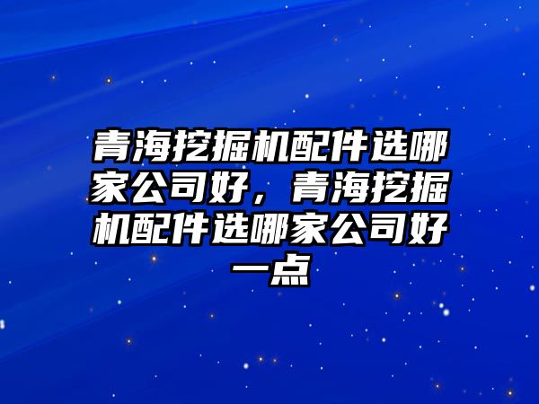 青海挖掘機(jī)配件選哪家公司好，青海挖掘機(jī)配件選哪家公司好一點(diǎn)