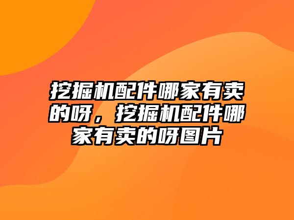 挖掘機配件哪家有賣的呀，挖掘機配件哪家有賣的呀圖片