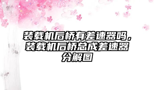 裝載機(jī)后橋有差速器嗎，裝載機(jī)后橋總成差速器分解圖