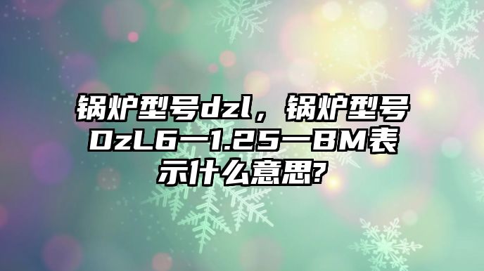 鍋爐型號dzl，鍋爐型號DzL6一1.25一BM表示什么意思?