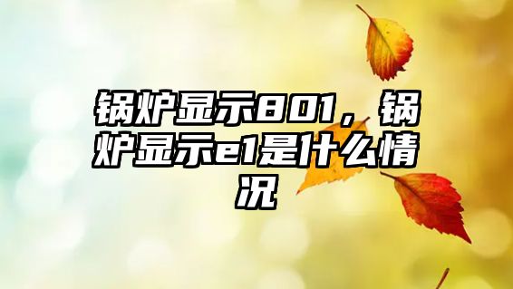 鍋爐顯示801，鍋爐顯示e1是什么情況