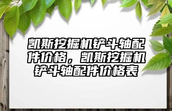 凱斯挖掘機鏟斗軸配件價格，凱斯挖掘機鏟斗軸配件價格表