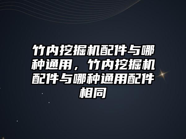 竹內挖掘機配件與哪種通用，竹內挖掘機配件與哪種通用配件相同