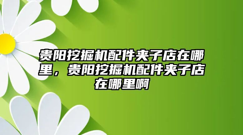 貴陽挖掘機配件夾子店在哪里，貴陽挖掘機配件夾子店在哪里啊