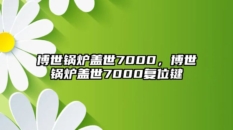 博世鍋爐蓋世7000，博世鍋爐蓋世7000復(fù)位鍵