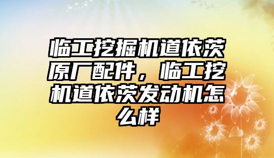 臨工挖掘機道依茨原廠配件，臨工挖機道依茨發(fā)動機怎么樣