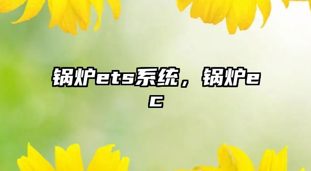 鍋爐ets系統(tǒng)，鍋爐ec