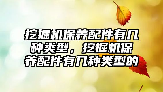 挖掘機保養(yǎng)配件有幾種類型，挖掘機保養(yǎng)配件有幾種類型的