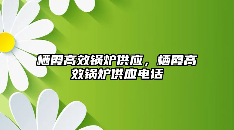 棲霞高效鍋爐供應(yīng)，棲霞高效鍋爐供應(yīng)電話