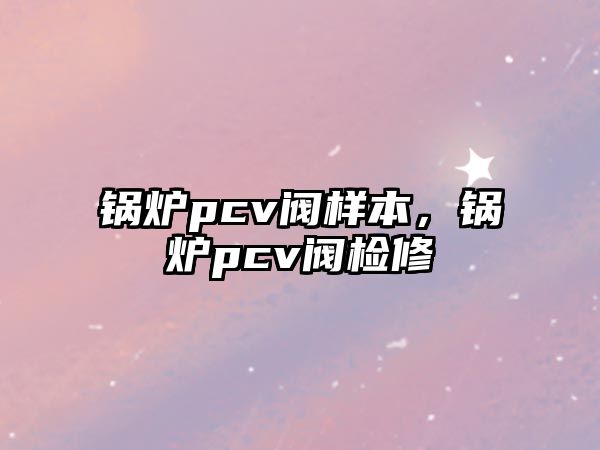 鍋爐pcv閥樣本，鍋爐pcv閥檢修