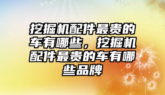 挖掘機配件最貴的車有哪些，挖掘機配件最貴的車有哪些品牌