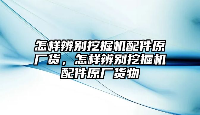 怎樣辨別挖掘機(jī)配件原廠貨，怎樣辨別挖掘機(jī)配件原廠貨物