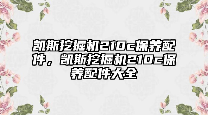 凱斯挖掘機210c保養(yǎng)配件，凱斯挖掘機210c保養(yǎng)配件大全