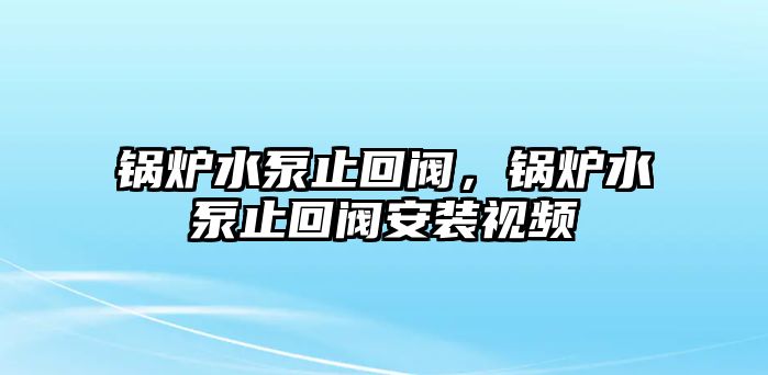 鍋爐水泵止回閥，鍋爐水泵止回閥安裝視頻