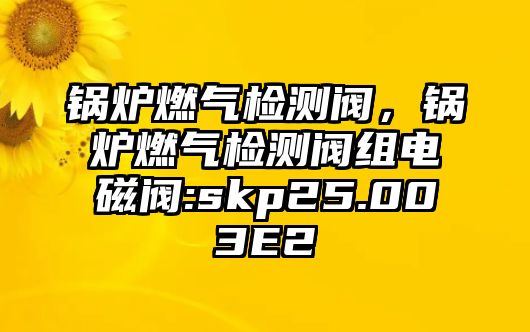 鍋爐燃氣檢測閥，鍋爐燃氣檢測閥組電磁閥:skp25.003E2