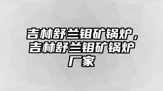 吉林舒蘭鉬礦鍋爐，吉林舒蘭鉬礦鍋爐廠家