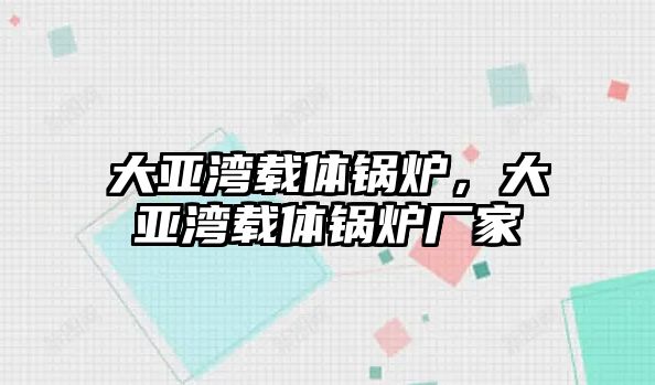 大亞灣載體鍋爐，大亞灣載體鍋爐廠家