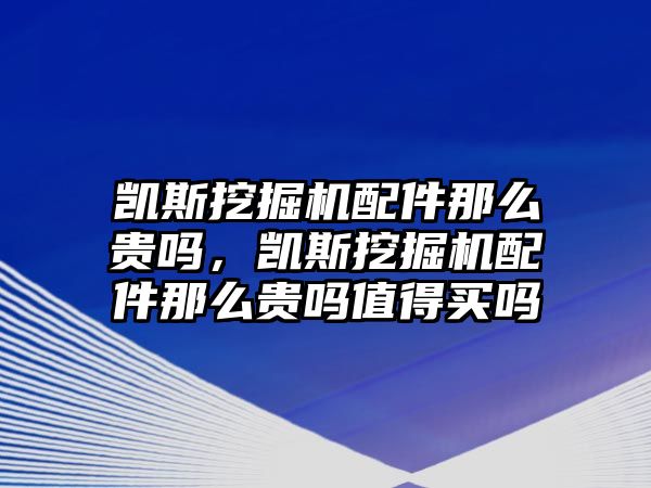 凱斯挖掘機配件那么貴嗎，凱斯挖掘機配件那么貴嗎值得買嗎