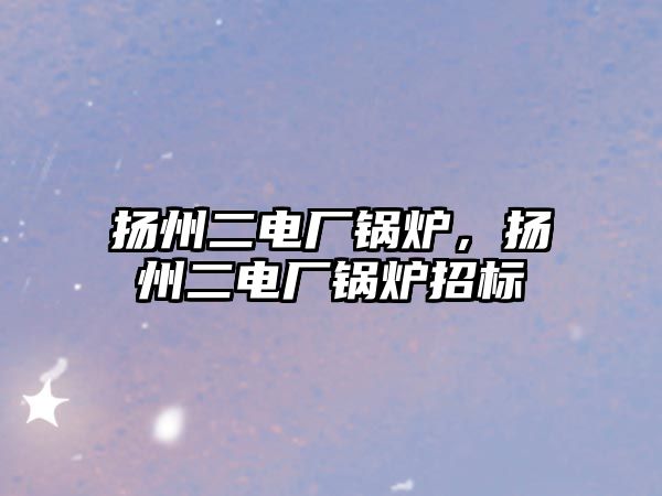 揚州二電廠鍋爐，揚州二電廠鍋爐招標(biāo)