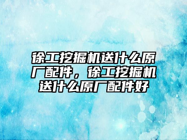 徐工挖掘機送什么原廠配件，徐工挖掘機送什么原廠配件好