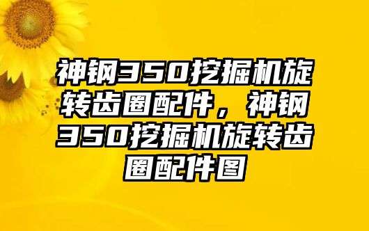 神鋼350挖掘機旋轉(zhuǎn)齒圈配件，神鋼350挖掘機旋轉(zhuǎn)齒圈配件圖