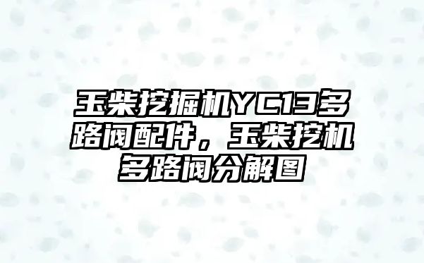 玉柴挖掘機YC13多路閥配件，玉柴挖機多路閥分解圖