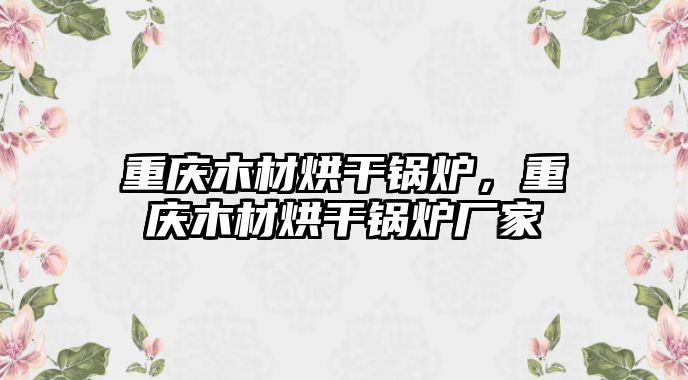 重慶木材烘干鍋爐，重慶木材烘干鍋爐廠家