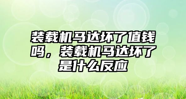 裝載機馬達壞了值錢嗎，裝載機馬達壞了是什么反應(yīng)