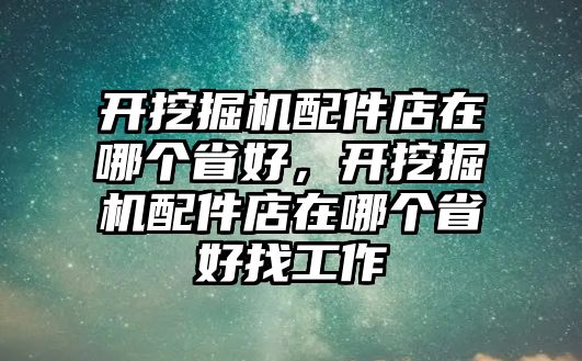 開挖掘機(jī)配件店在哪個省好，開挖掘機(jī)配件店在哪個省好找工作