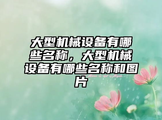 大型機械設(shè)備有哪些名稱，大型機械設(shè)備有哪些名稱和圖片