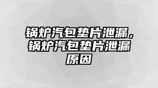 鍋爐汽包墊片泄漏，鍋爐汽包墊片泄漏原因