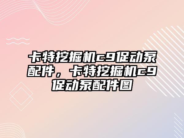 卡特挖掘機c9促動泵配件，卡特挖掘機c9促動泵配件圖