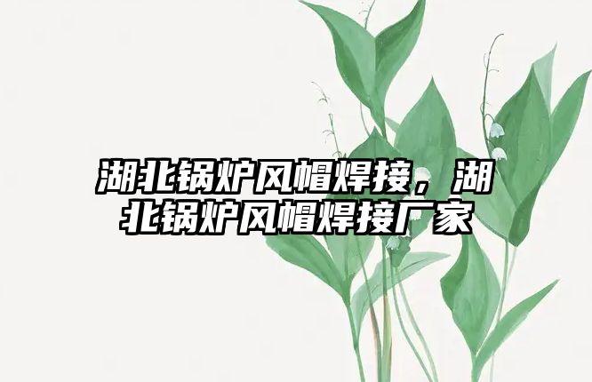 湖北鍋爐風(fēng)帽焊接，湖北鍋爐風(fēng)帽焊接廠家