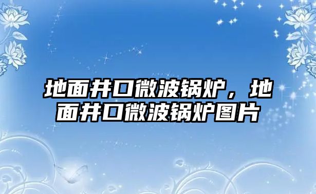 地面井口微波鍋爐，地面井口微波鍋爐圖片