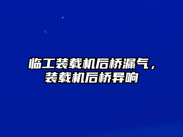 臨工裝載機后橋漏氣，裝載機后橋異響