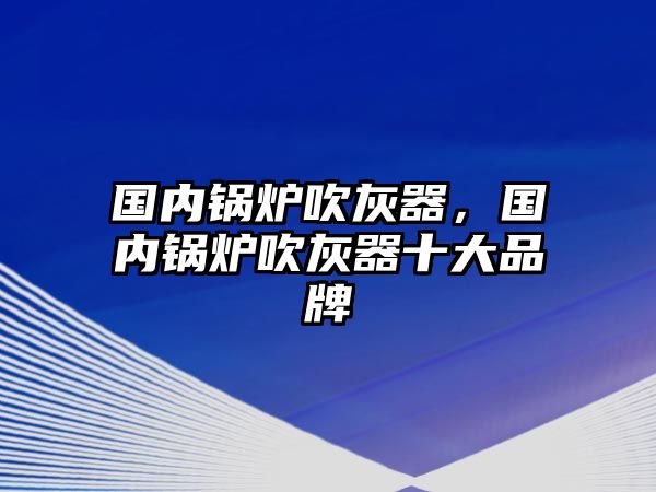 國內(nèi)鍋爐吹灰器，國內(nèi)鍋爐吹灰器十大品牌