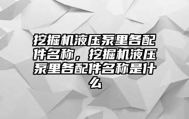 挖掘機(jī)液壓泵里各配件名稱，挖掘機(jī)液壓泵里各配件名稱是什么