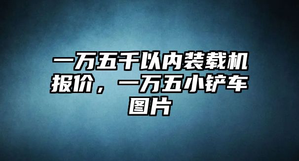 一萬五千以內(nèi)裝載機(jī)報(bào)價(jià)，一萬五小鏟車圖片