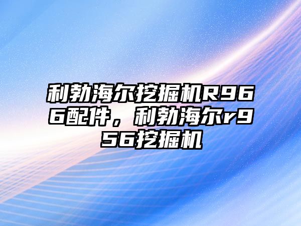 利勃海爾挖掘機(jī)R966配件，利勃海爾r956挖掘機(jī)