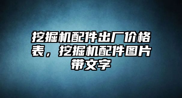 挖掘機(jī)配件出廠價(jià)格表，挖掘機(jī)配件圖片帶文字