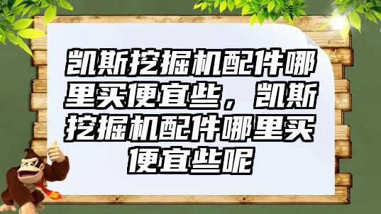 凱斯挖掘機(jī)配件哪里買便宜些，凱斯挖掘機(jī)配件哪里買便宜些呢