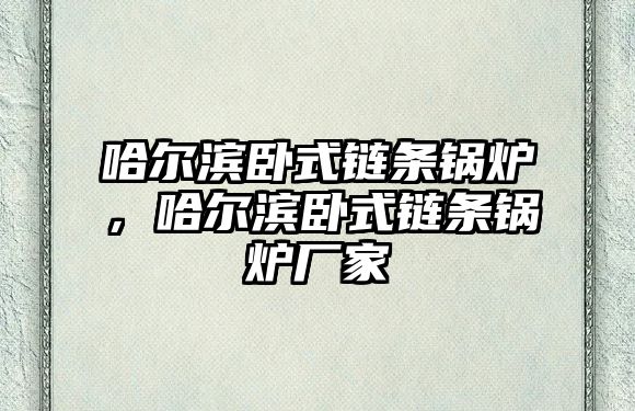 哈爾濱臥式鏈條鍋爐，哈爾濱臥式鏈條鍋爐廠家