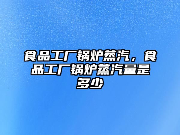 食品工廠鍋爐蒸汽，食品工廠鍋爐蒸汽量是多少