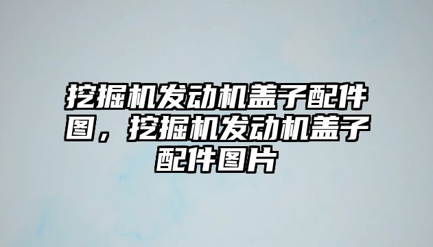 挖掘機發(fā)動機蓋子配件圖，挖掘機發(fā)動機蓋子配件圖片