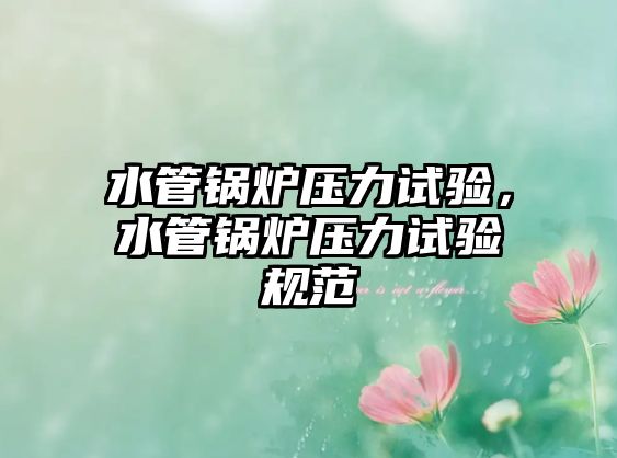 水管鍋爐壓力試驗，水管鍋爐壓力試驗規(guī)范