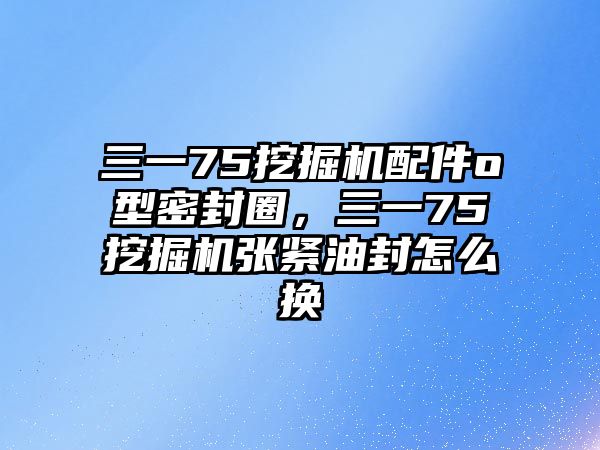 三一75挖掘機(jī)配件o型密封圈，三一75挖掘機(jī)張緊油封怎么換