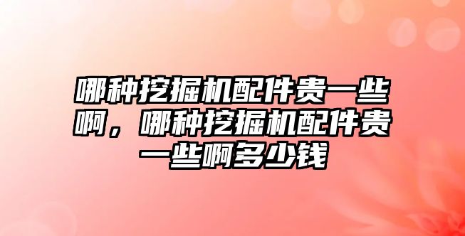 哪種挖掘機(jī)配件貴一些啊，哪種挖掘機(jī)配件貴一些啊多少錢(qián)