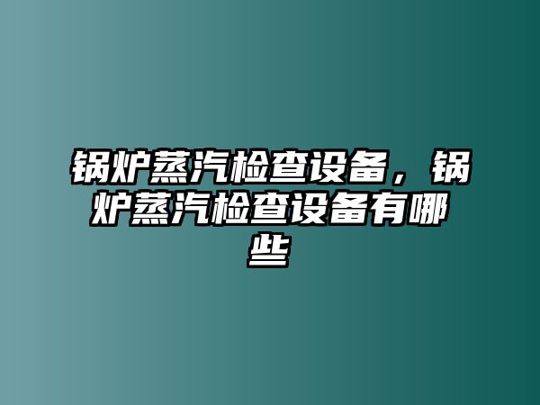 鍋爐蒸汽檢查設備，鍋爐蒸汽檢查設備有哪些